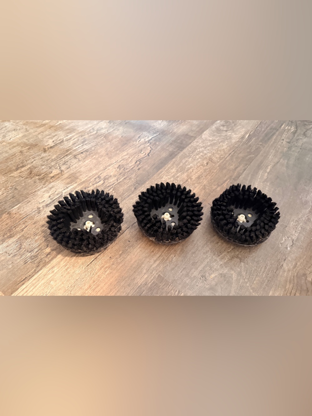 Electroluxe Set of 3 Black Round Scrubbing Brush Heads